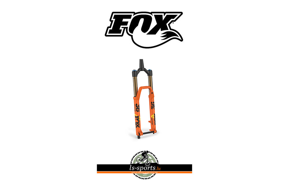 Fox, Bike Frok in our Bicycleshop