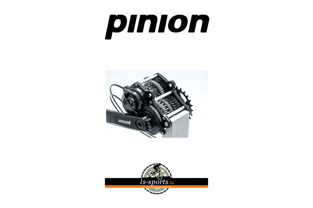 Pinion Service and spare parts for Luxembourg