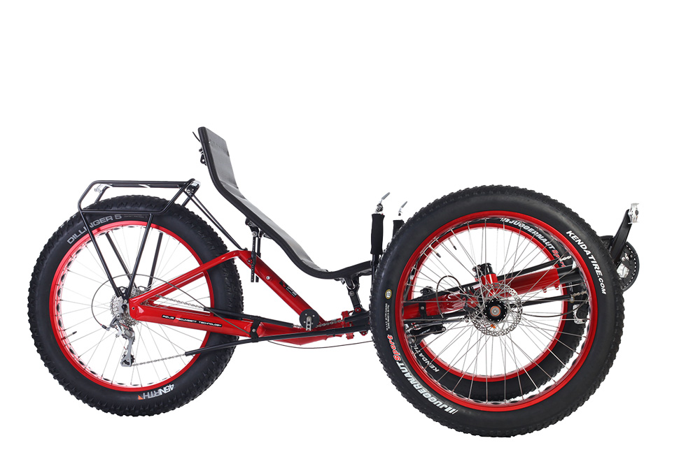  Looking for a high quality recumbent bike in Luxembourg? You ll find it here!