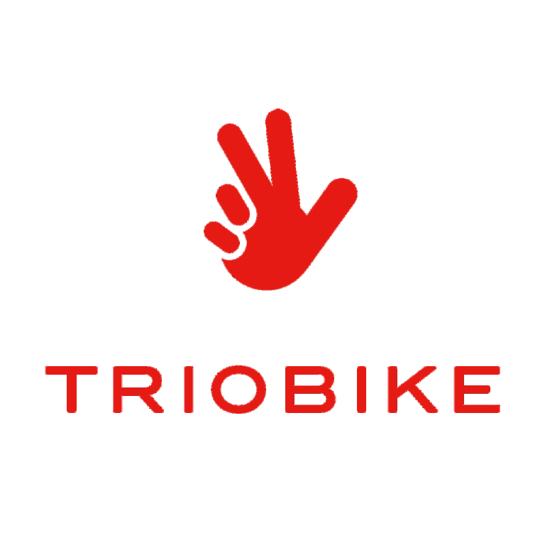 Vélo électrique de transports Triobike