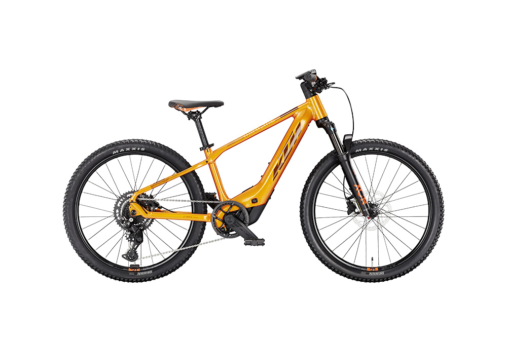 Vous recherchez un vélo d'enfant électrique de qualité au Luxembourg? Vous le trouverez ici!