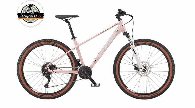 Penny Lane 271 bloom (38692)