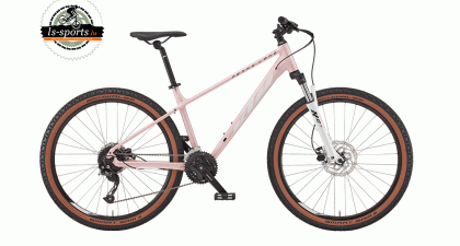 KTM - Penny Lane 271 bloom (38692)