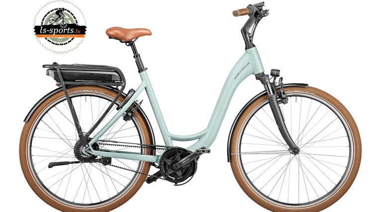 Swing vario (39835)