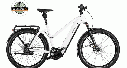 Riese und Müller - Charger4 Mixte GT Vario (N°14)