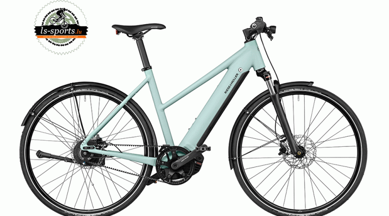 Roadster Mixte vario (40337)