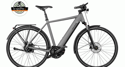 Riese und Müller - Roadster vario (40543)