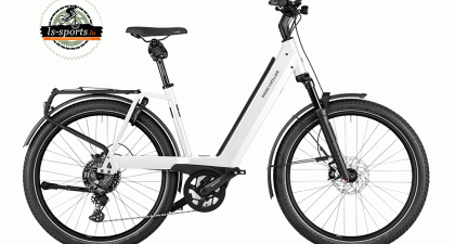 Riese und Müller - Nevo4 GT touring (40548)