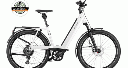 Riese und Müller - Nevo4 GT Touring (N°15)