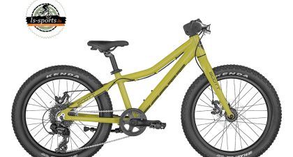 Scott - Roxter 20 (40706)