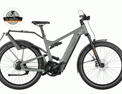 Delite4 GT Rohloff HS 