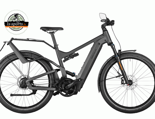 Delite4 GT Rohloff GX HS 