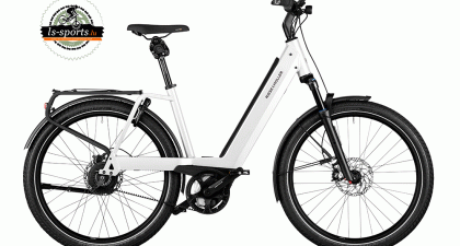 Riese und Müller - Nevo4 GT vario (43183)