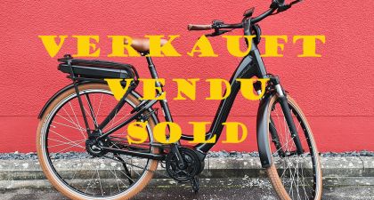 Riese und Müller - Swing4 vario (43184)