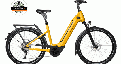 Velo de Ville - SEB 890 Pro (43205)