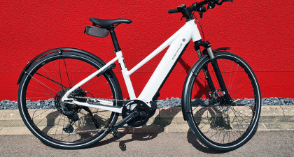 Riese und Müller - Roadster Mixte Touring (37678)