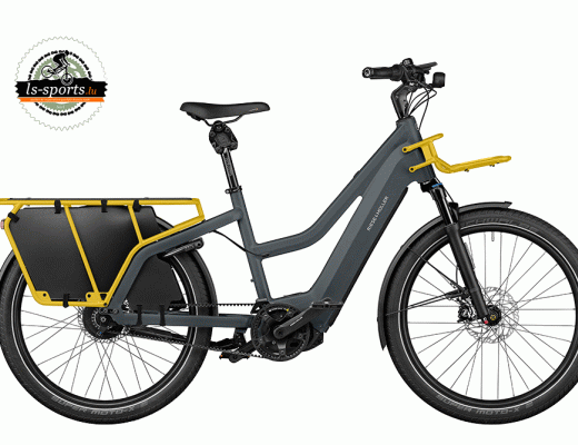 Multicharger2 Mixte GT Vario