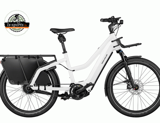 Multicharger2 Mixte GT Vario