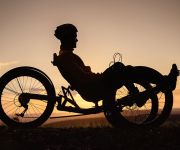 Welt-MS-Daach